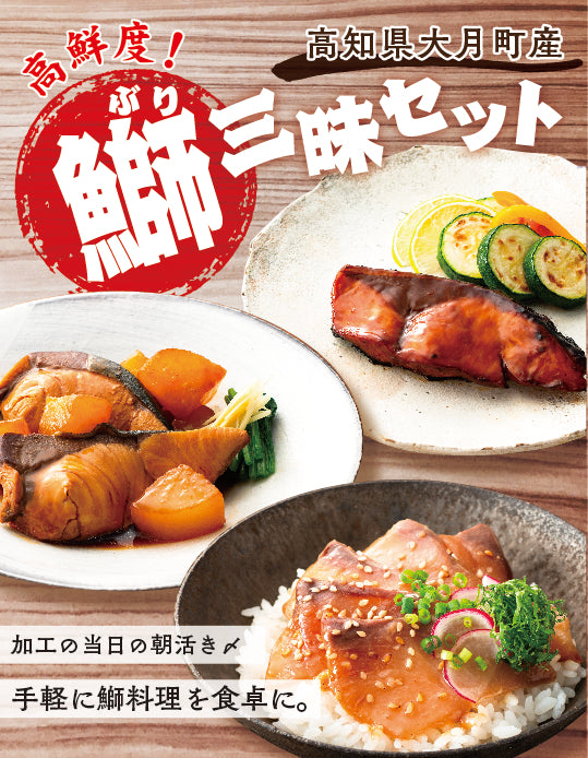 高知/産直送料込み]高知県大月町産鰤 うみのファーム活け〆ぶり三昧