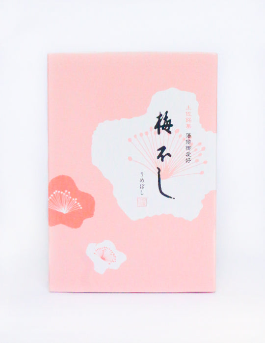 梅　舒適・色紙「不知痛痒」/タトウ入り IMG_7598_2048x.jpg?v=1741671193