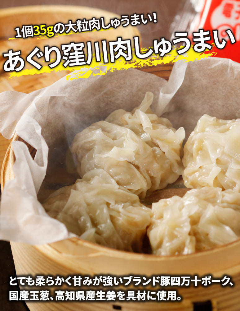 高知/産直送料込み]道の駅あぐり窪川 肉しゅうまいセット（5袋)[冷凍