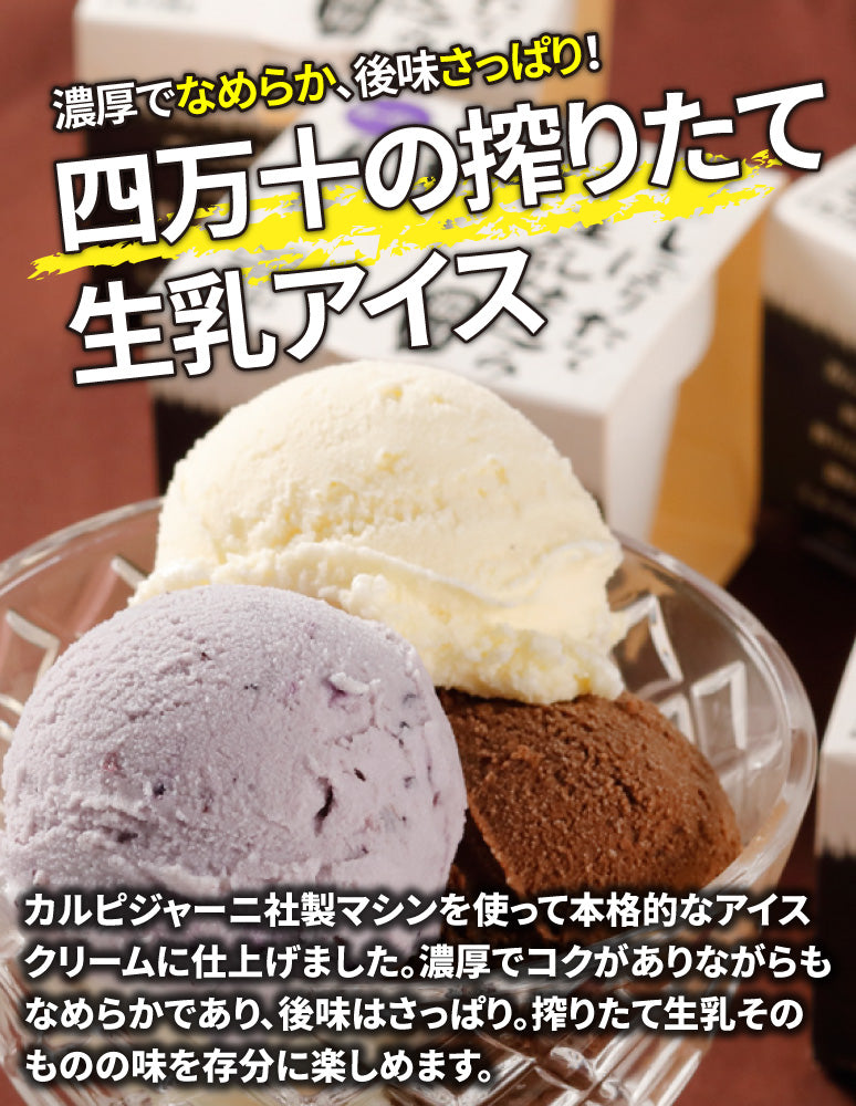 アイズ 専用 Toffy アイスクリームメーカー K-IS11 | 株式会社ラドンナ- LADONNA -