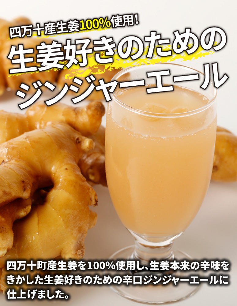 高知/産直送料込み]道の駅あぐり窪川 生姜好きのためのジンジャー
