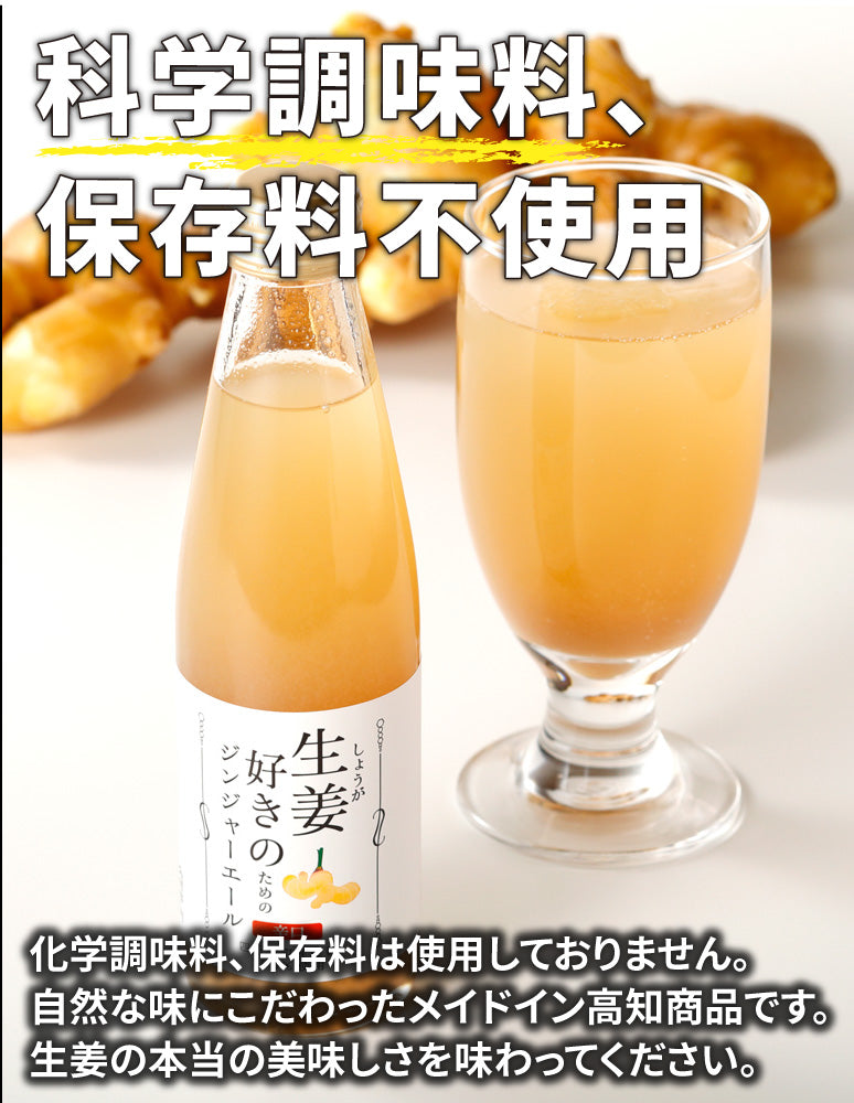 高知/産直送料込み]道の駅あぐり窪川 生姜好きのためのジンジャー