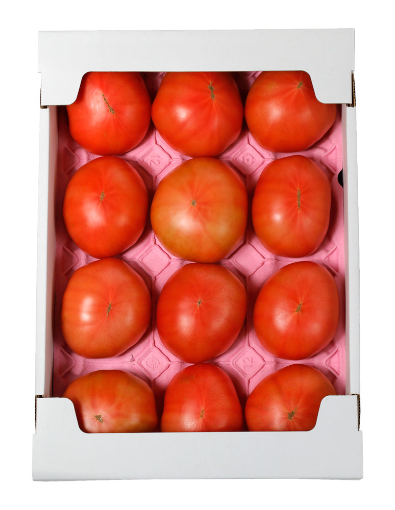 [高知/産直送料込み]【化粧箱入り】大玉トマト 12個入り【販売期間:11月～6月】